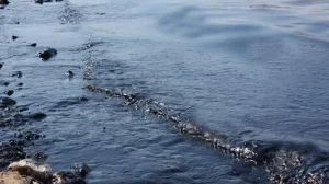 تسرب نفطي في البحر الأسود