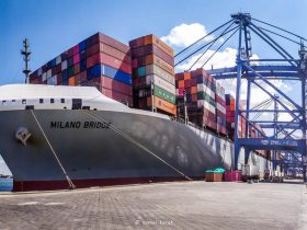 ميناء دمياط يستقبل شحنة قمح أوكراني.. ومؤشرات إيجابية لحركة التجارة