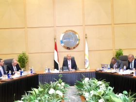 وزير النقل المصري