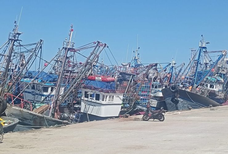 صيادو السردين بآسفي يرفعون "الراية البيضاء" احتجاجًا على "البورباج"