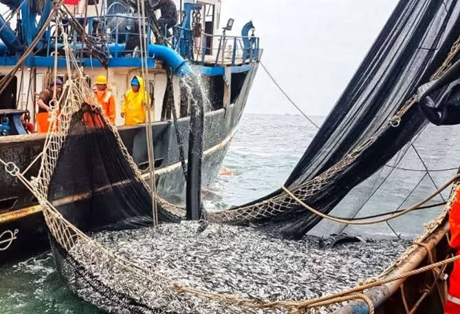 الصيد البحري