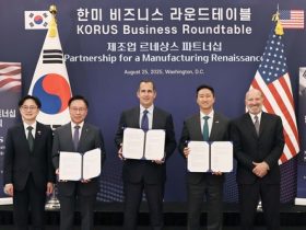 صناعة بناء السفن