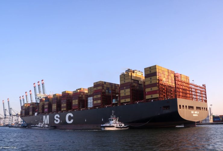 ميناء دمياط المصري