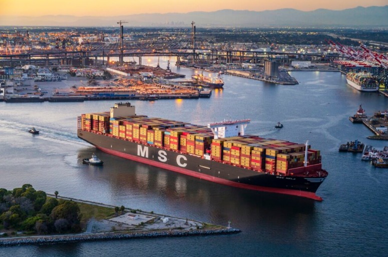 تعديلات استراتيجية لـ MSC.. ميناء زيبروج على خط الخدمة الباكستانية الجديدة