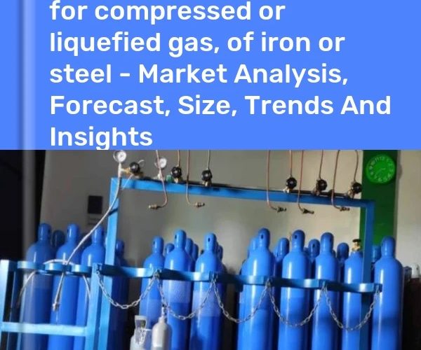 تقرير: المملكة العربية السعودية تبرز كقوة صاعدة في سوق حاويات الغاز بالشرق الأوسط