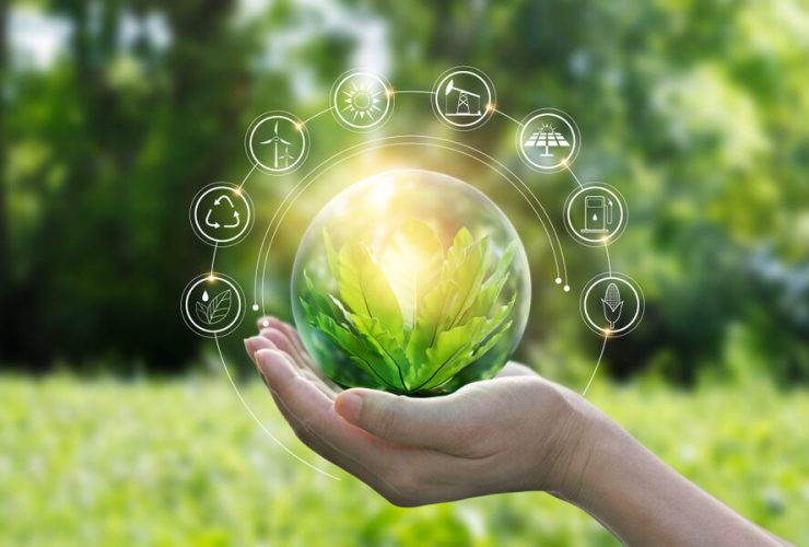 الوقود الأخضر