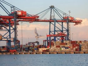 رئيس موانئ البحر الأحمر يطالب بالمزيد من التطوير في جولة تفقدية شاملة