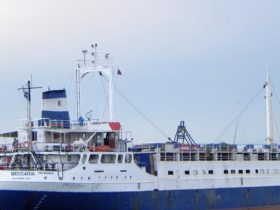 نشاط غير مسبوق في موانئ البحر الأحمر: تداول 31858 طناً من البضائع ووصول شحنة عجول حية ضخمة