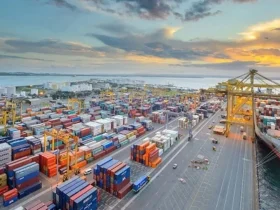 ارتفاع أسعار شحن الحاويات عبر المحيط الهادئ مؤقت.. وتحديات الطلب الضعيف تلوح في الأفق