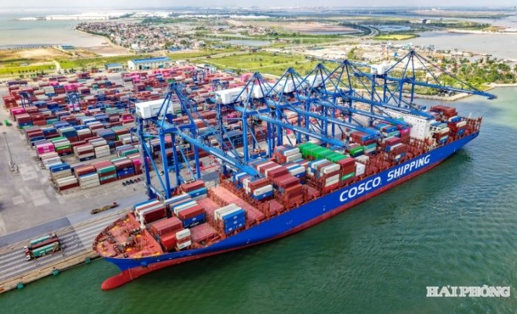إنجاز تشغيلي تاريخي.. ميناء تان كانج هاي فونج يتجاوز المليون حاوية نمطية في 2025