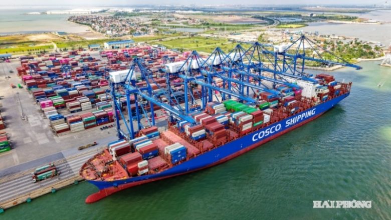 إنجاز تشغيلي تاريخي.. ميناء تان كانج هاي فونج يتجاوز المليون حاوية نمطية في 2025