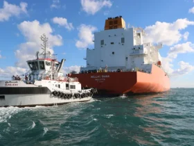 ميناء دمياط المصري