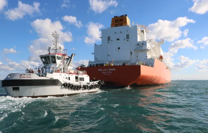 ميناء دمياط المصري