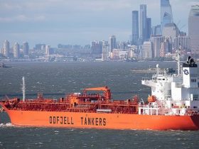 أرباح قوية لـ "أودفجيل".. 43 مليون دولار صافي نتيجة للربع الثالث من عام 2025