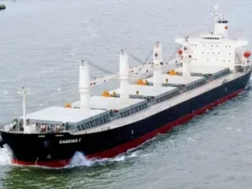 الموانئ المصرية تستعد لاستقبال 650 ألف طن من شحنات الحبوب الأسبوع المقبل