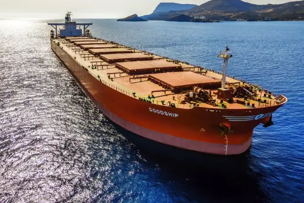 شحنات الفحم