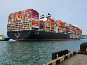 يانج مينج تطلب بناء ست سفن حاويات يابانية جاهزة للعمل بوقود الميثانول المزدوج