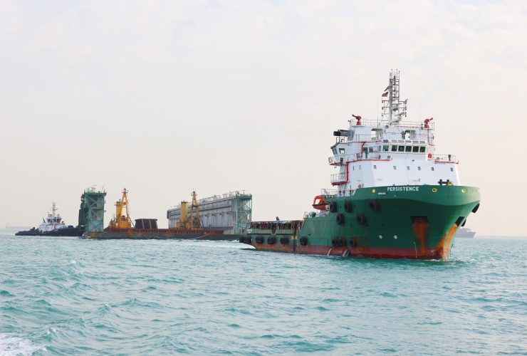 الحوض العائم "GREEN DOCK 3"