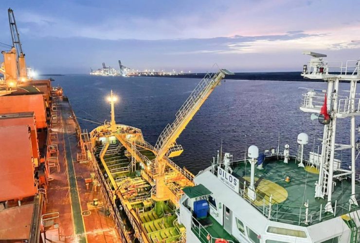 الديزل الحيوي البحري