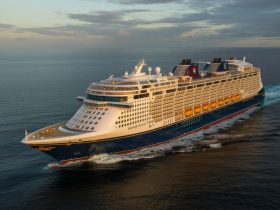 الرحلات البحرية