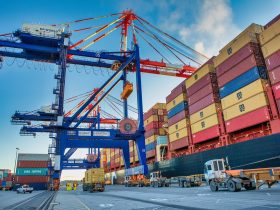 شركة الإسكندرية لتداول الحاويات