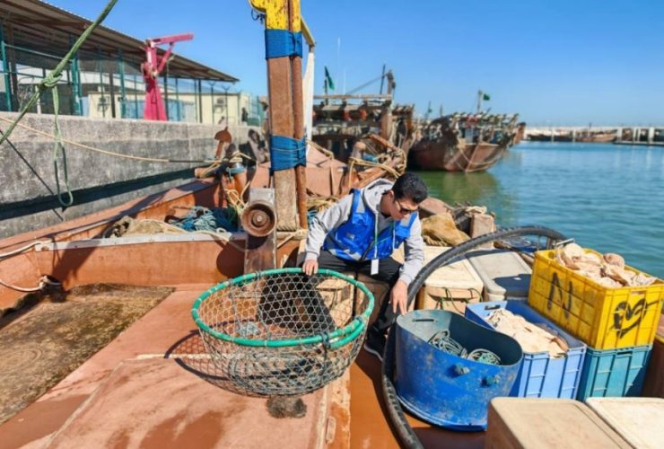 حملة رقابية