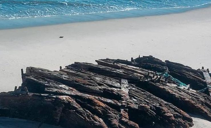 «لورانس ن. ماكنزي»