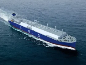 شاندونغ مارين