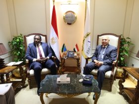 وزير النقل المصري ١