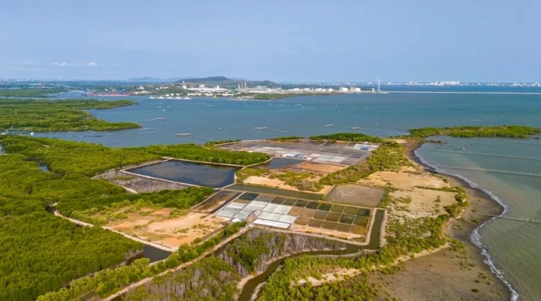 طريق الحرير البحري