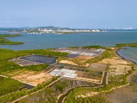 ميناء كاي ميب ها