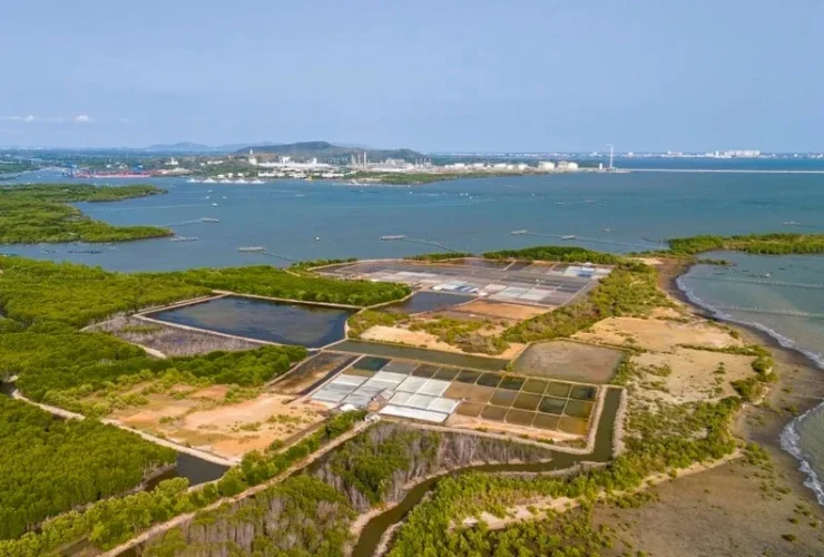 ميناء كاي ميب ها