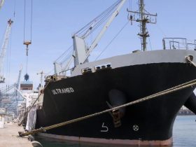 ميناء دمياط