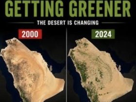 السعودية الخضراء