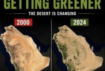 السعودية الخضراء