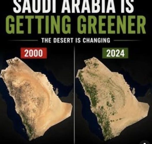 السعودية الخضراء