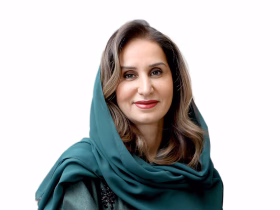 مبادرة مستقبل الاستثمار