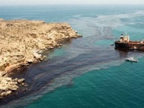 كارولين بيزنغي