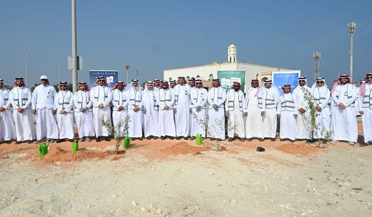 موسم التشجير الوطني 2026